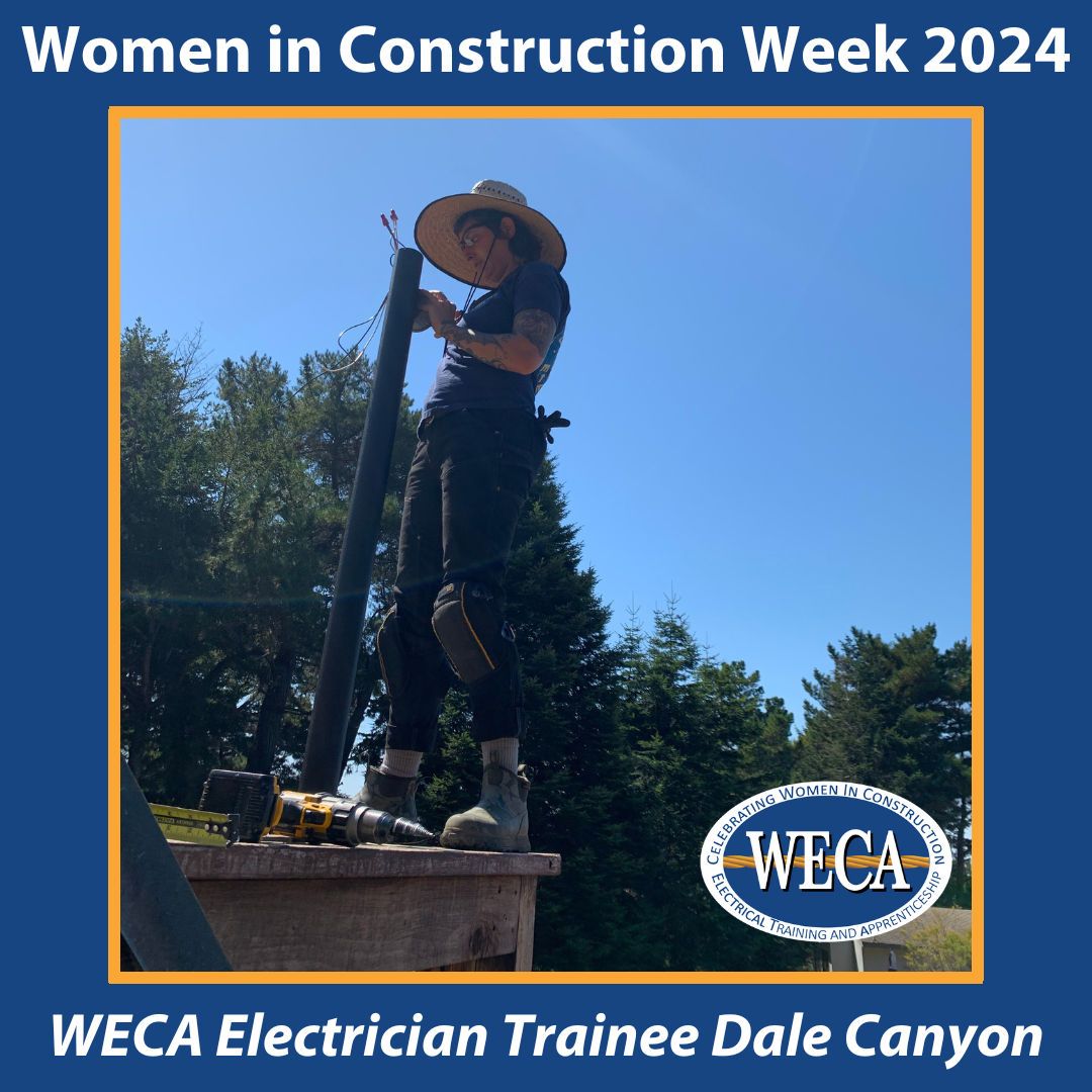 WECA Electrician Trainee Dale Canyon WECA Electrician Trainee Dale Canyon